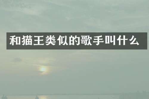 和猫王类似的歌手叫什么