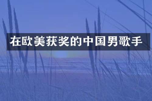 在欧美的中国男歌手