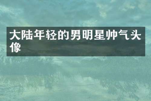 大陆年轻的男明星帅气头像
