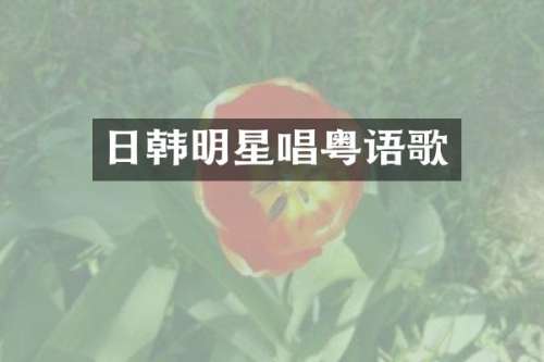 日韩明星唱粤语歌