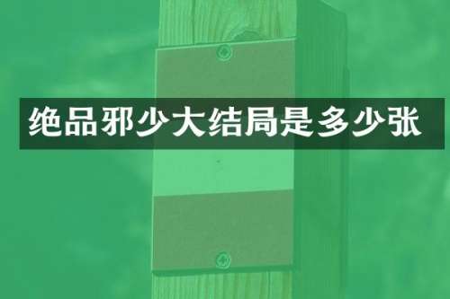 绝品邪少大结局是多少张