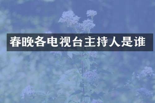 各电视台主持人是谁