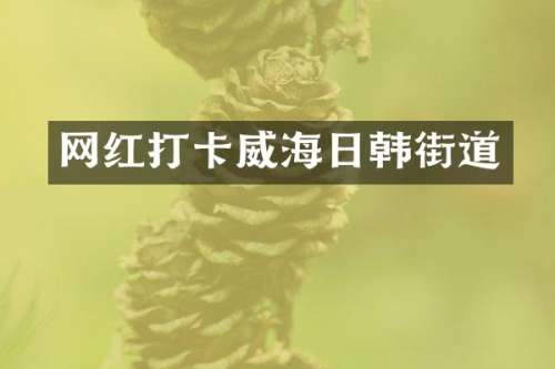 网红打卡威海日韩街道