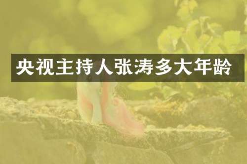 央视主持人张涛多大年龄