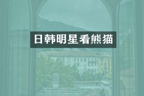 日韩明星看熊猫