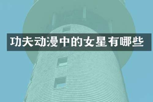 功夫动漫中的女星有哪些