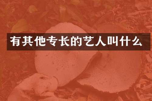 有其他专长的艺人叫什么
