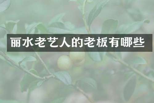 丽水老艺人的老板有哪些