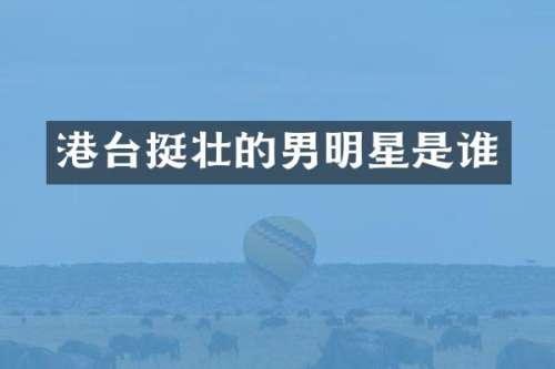 港台挺壮的男明星是谁