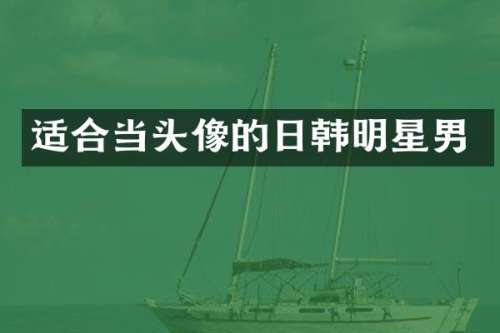 适合当头像的日韩明星男