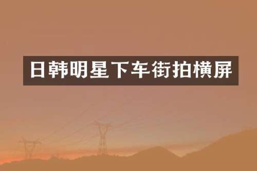 日韩明星下车街拍横屏