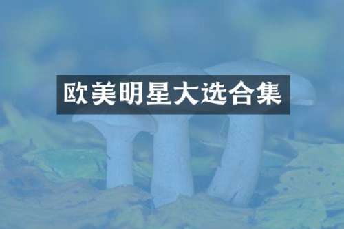欧美明星大选