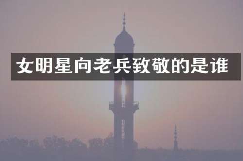 女明星向老兵致敬的是谁