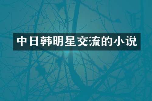 中日韩明星交流的小说