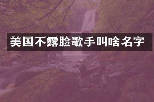 美国不脸歌手叫啥名字