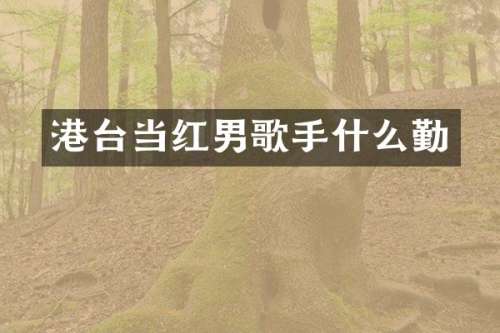 港台当红男歌手什么勤