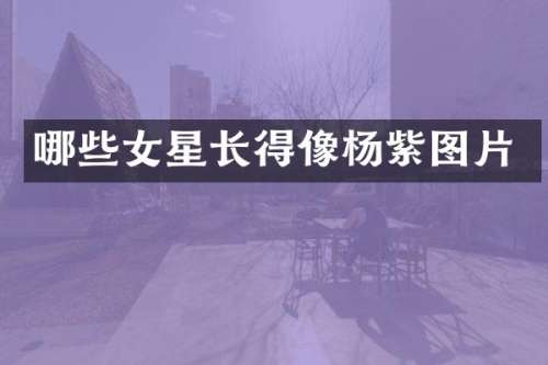 哪些女星长得像杨紫图片