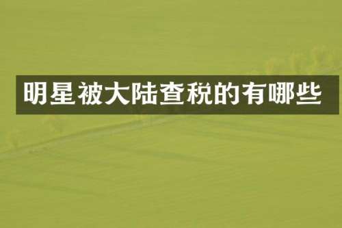 明星被大陆查税的有哪些