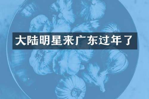 大陆明星来广东过年了