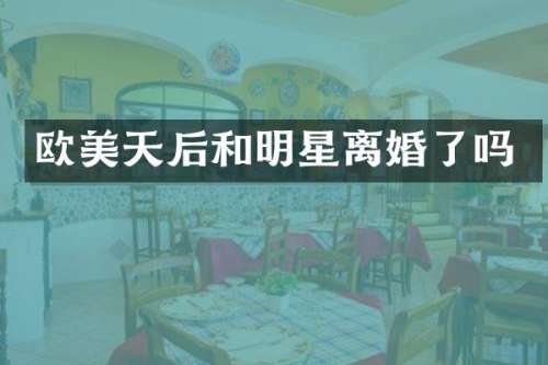 欧美天后和明星离婚了吗