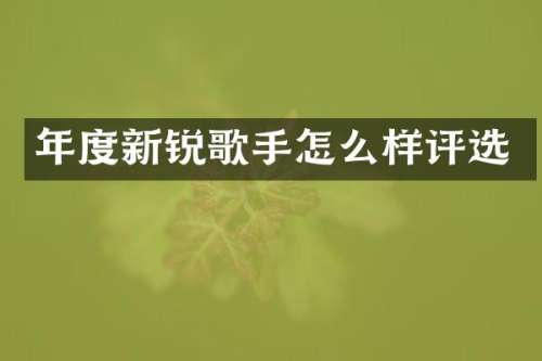 年度新锐歌手怎么样评选
