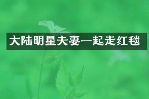 大陆明星夫妻一起走红毯