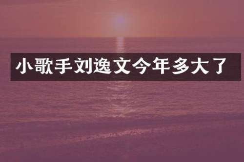 小歌手刘逸文今年多大了