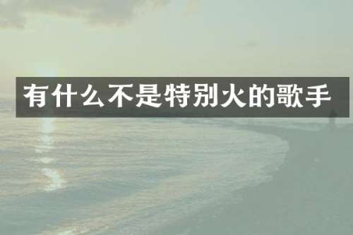 有什么不是特别火的歌手