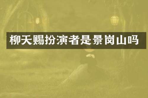 柳天赐扮演者是景岗山吗