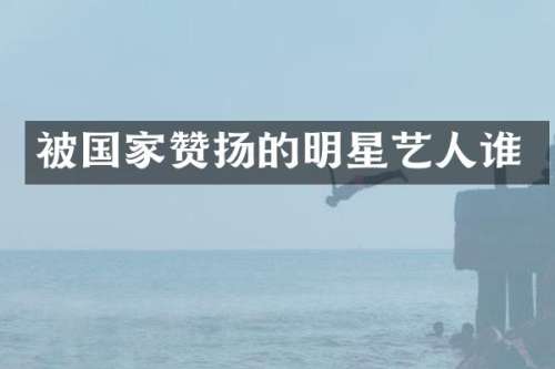 被国家赞扬的明星艺人谁