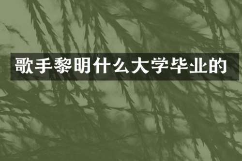 歌手黎明什么大学毕业的