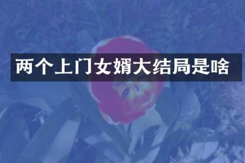 两个上门女婿大结局是啥