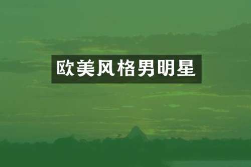 欧美风格男明星