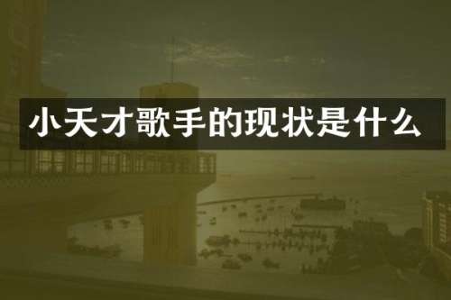 小天才歌手的现状是什么