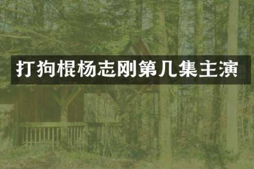 打狗棍杨志刚第几集主演