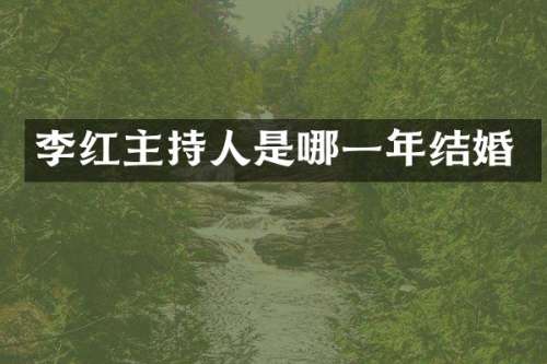李红主持人是哪一年结婚