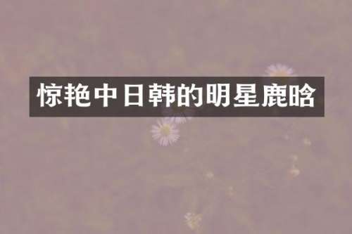 惊艳中日韩的明星鹿晗