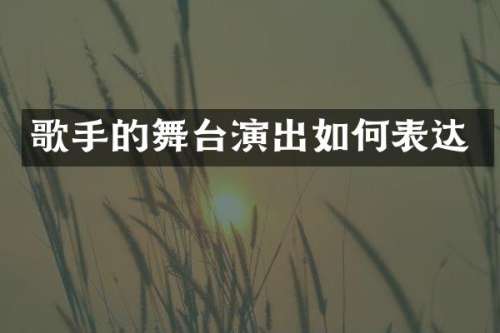 歌手的舞台演出如何表达