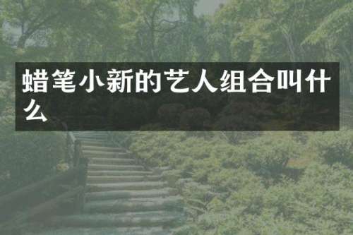 蜡笔小新的艺人组合叫什么