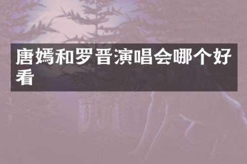 唐嫣和罗晋演唱会哪个好看