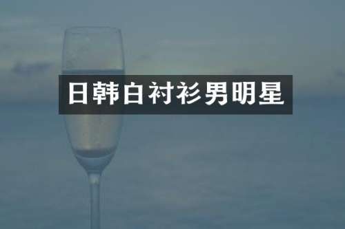 日韩白衬衫男明星