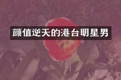 颜值逆天的港台明星男
