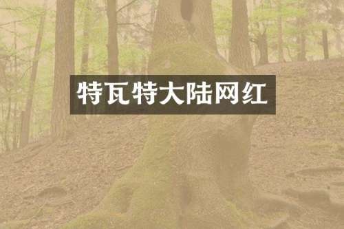 特瓦特大陆网红