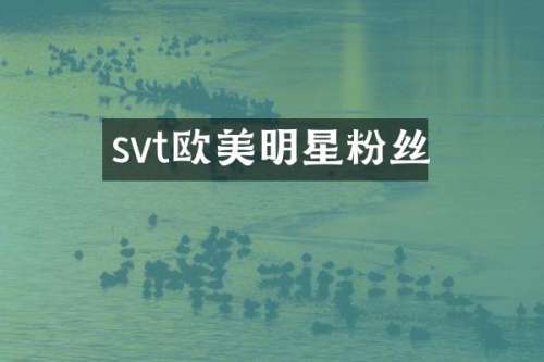 svt欧美明星粉丝