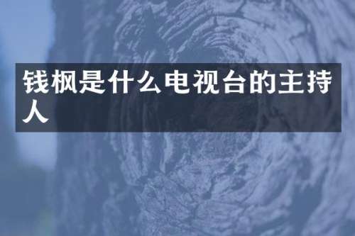是什么电视台的主持人