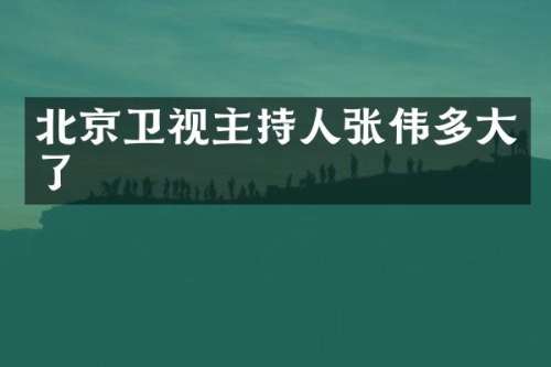 北京卫视主持人张伟多大了