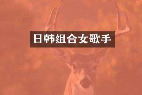 日韩组合女歌手