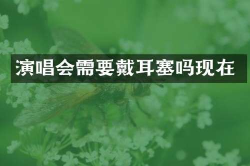 演唱会需要戴耳塞吗现在