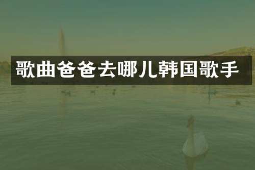 歌曲爸爸去哪儿韩国歌手