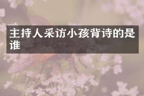 主持人采访小孩背诗的是谁
